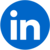 LinkedIn ícone