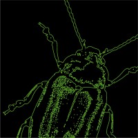 Hackathon BugsByte